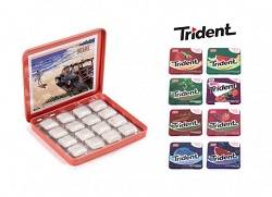 تریدنت ادامس فلزی 15 عددی